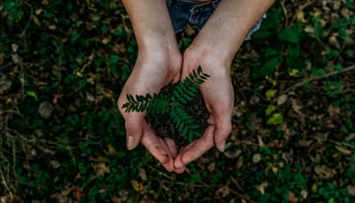 ENVIRONMENTAL SERVICES