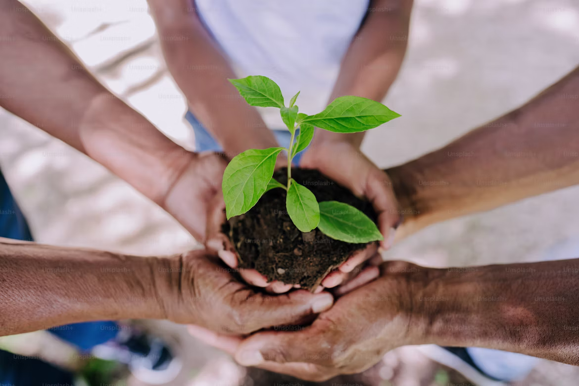 Sustainability initiatives in local communities